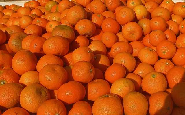 280193987_525847865857322_8008023346190086790_n_1652336670