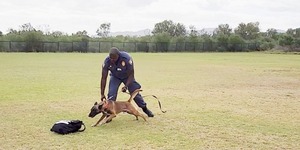 280380371_314661074175378_1424162108857371610_n_1652338396