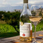 Chardonnay - Stettyn Family Vineyards - Xplorioâ„¢ Villiersdorp