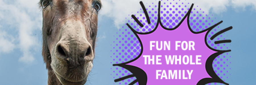 Poster - Theewater Sports Club - Xplorioâ„¢ Villiersdorp