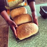 Fresh Bread - Van Brakel Stoor - Xplorioâ„¢ Caledon