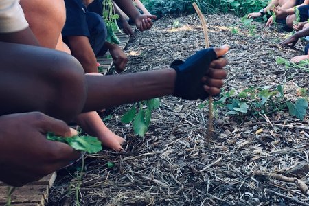 planting in garden - Valley Food Gardens - Xplorioâ„¢ Greyton