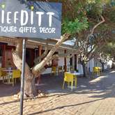 Store front - Liefditt Antiques - Xplorioâ„¢ Napier