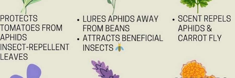 Poaster - RAW - Xplorioâ„¢ Greyton