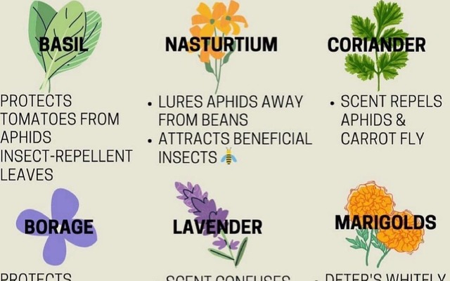 Poaster - RAW - Xplorioâ„¢ Greyton