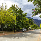 Main Road - Greyton Tourism - Xplorioâ„¢ Greyton