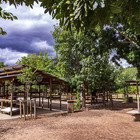 Saturday Market Place - Greyton Tourism - Xplorioâ„¢ Greyton