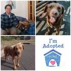 Adoption - Grabouw Animal Welfare Society - Xplorioâ„¢ Grabouw