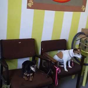 WhatsApp_Image_2022_05_19_at_9.09.35_AM_1_1652949862