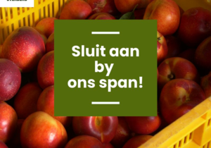 Sluit Aan By Ons Span!