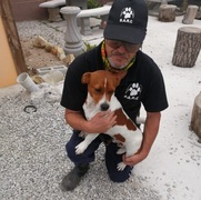 Max is ready to be adopted!