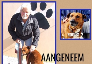 Rooies Adopted