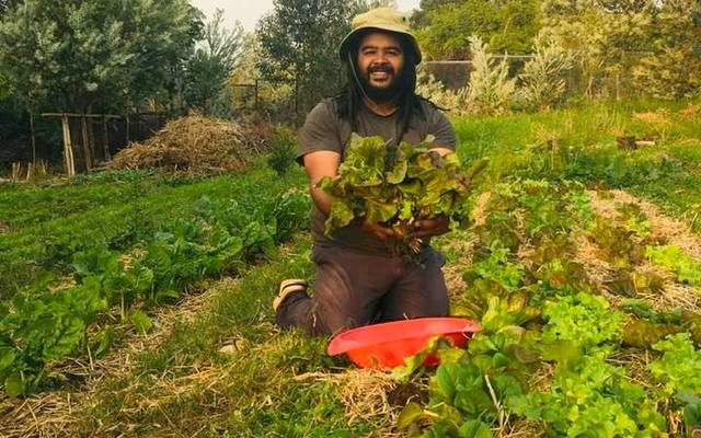 Harvesting - Valley Food Gardens - Xplorioâ„¢ Greyton 