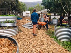 Winter Prep In The School Garden 