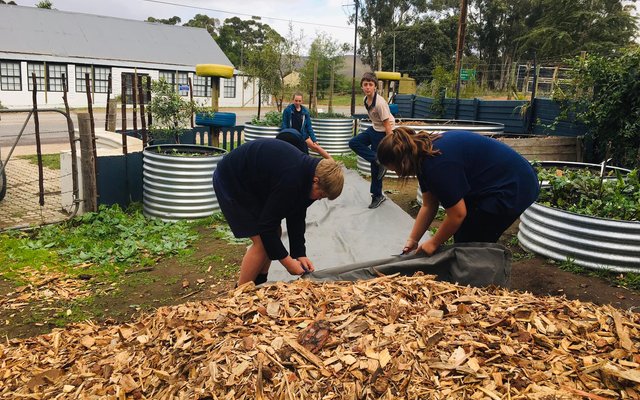 Laying pathway - RAW - Xplorioâ„¢ Greyton