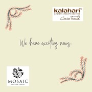 New Website and Online Shop