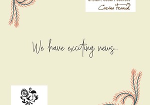 New Website and Online Shop