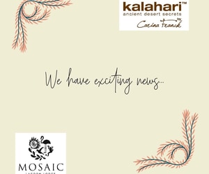 New Website and Online Shop