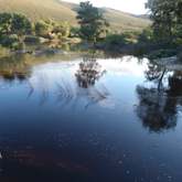 River - Greyton Twin Rivers Campsite - Xplorioâ„¢ Greyton