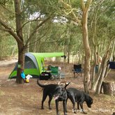 Camping - Greyton Twin Rivers Campsite - Xplorioâ„¢ Greyton
