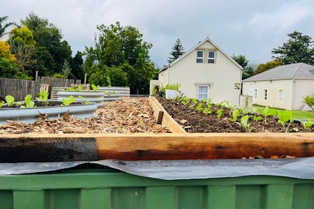 Rooftop garden progress - RAW - Xplorioâ„¢ Greyton