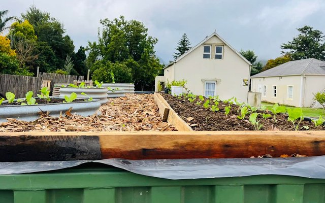 Rooftop garden progress - RAW - Xplorioâ„¢ Greyton