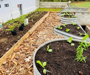 Rooftop Garden In Progress