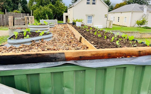 Rooftop garden - RAW - Xplorioâ„¢ Greyton