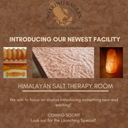 Coming Soon: Himalayan Salt Therapy Room