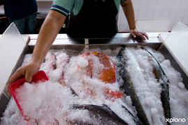 Get Hooked On Conserving Our Marine Resources