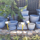 Riverland Garden Centre - Xplorioâ„¢ Stanford