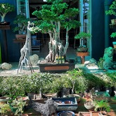 Riverland Garden Centre - Xplorioâ„¢ Stanford