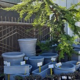 Riverland Garden Centre - Xplorioâ„¢ Stanford