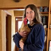 Chicken - Greyton Farm Animal Sanctuary - Xplorioâ„¢ Greyton 