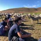 Farm Visit - Greyton House School - Xplorioâ„¢ Greyton