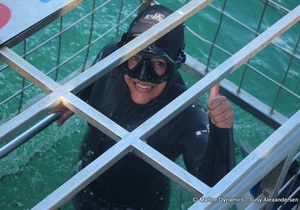 Daily Blog: 28 May 2022 | Shark Cage Diving in South Africa