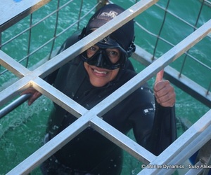 Daily Blog: 28 May 2022 | Shark Cage Diving in South Africa