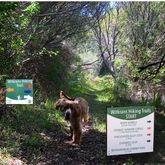 Witkrans Hiking Trails