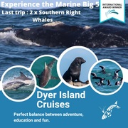 Next Dyer Island Marine Big 5 Tour: 3 June 2022