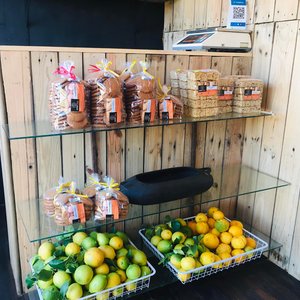 Products - RAW - Xplorioâ„¢ Greyton