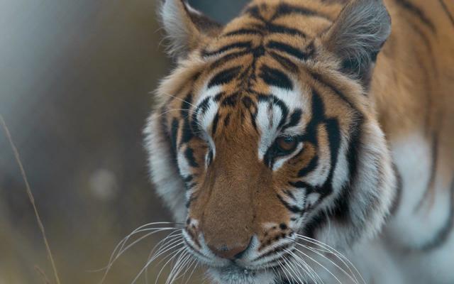 Heather4_Bella_1_1654251042