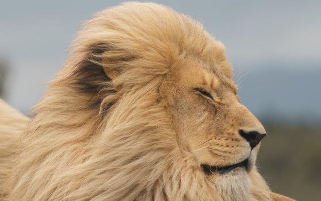 Heather5_Obi_2_1654251043