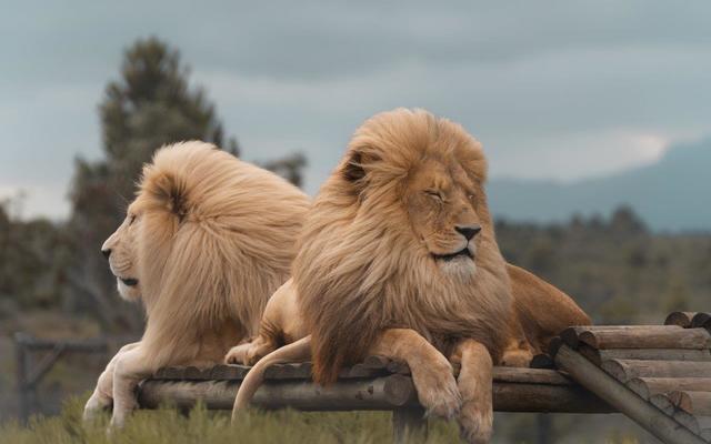 Heather7__1654251044