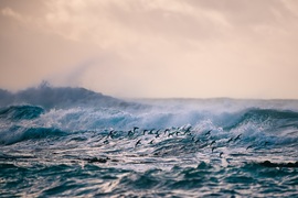 Round 1 Winner of our Photography Competition