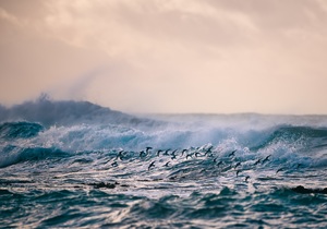 Round 1 Winner of our Photography Competition