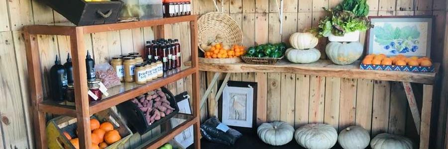 Products - RAW - Xplorioâ„¢ Greyton