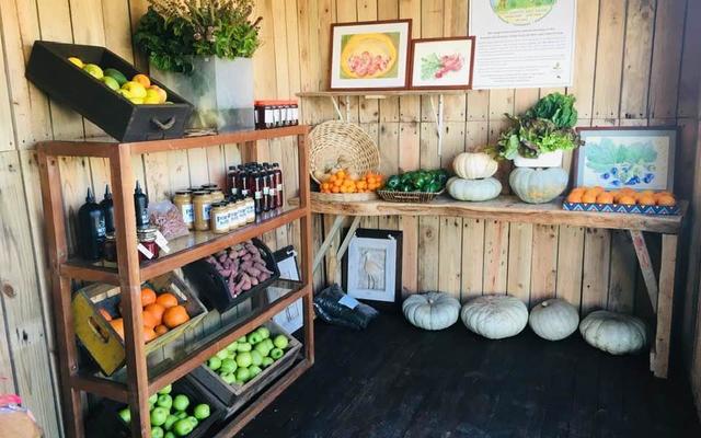 Products - RAW - Xplorioâ„¢ Greyton