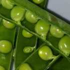 Fresh Veggies - Organic Bunch - Xplorioâ„¢ Gansbaai -