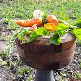 Fresh Veggies - Organic Bunch - Xplorioâ„¢ Gansbaai 