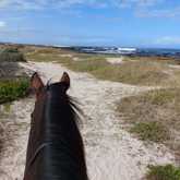 Horse Riding- Beyond Black Mountain / Caledon Tourism- Xplorioâ„¢ Caledon